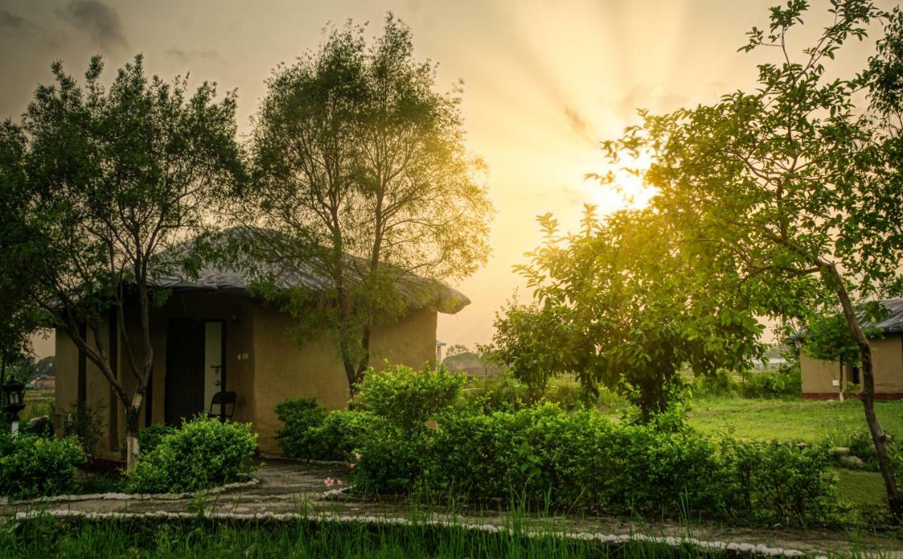 Tusk And Roar Corbett Resort Dhela Exterior foto